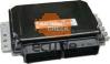 RENAULT 7700110938 Siemens S110030002D